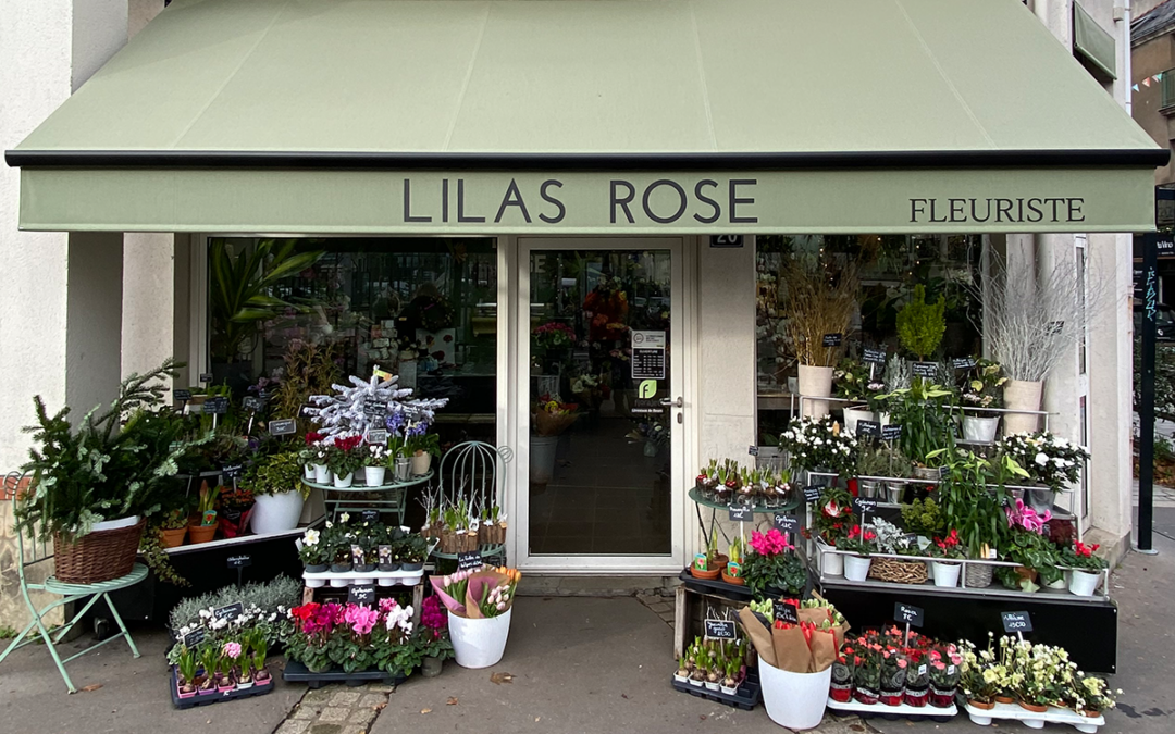 Lilas Rose
