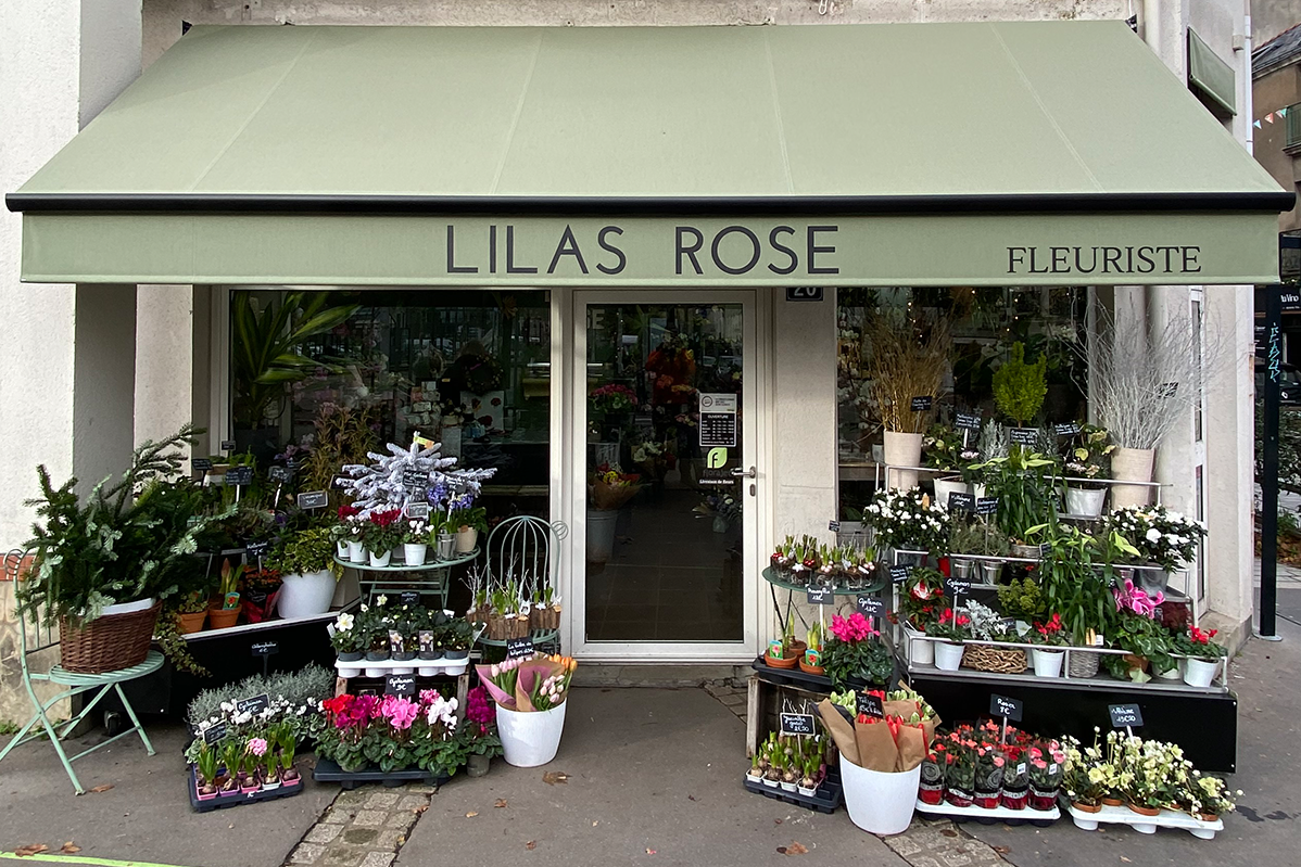 Lilas Rose