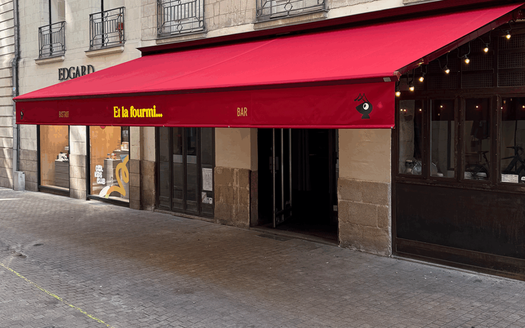 Et la fourmi…