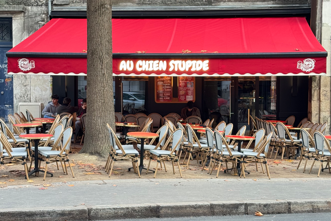 Store Banne Jumbo avec lambrequin lumineux et peint installé à la terrasse du bar Au chien stupide à Nantes (44) par le ESPACIO, storiste pro CHR